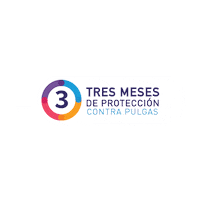 Gatos Perros Sticker by MSD Família Pet