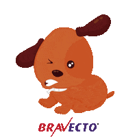 Gatos Perros Sticker by MSD Família Pet