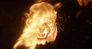 jon favreau disney GIF by Disney's The Jungle Book