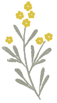 hawthorneandivory flower floral hawthorne and ivory hawthorneandivory Sticker