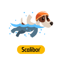 Coonic_ES perro agua perros frisbee Sticker