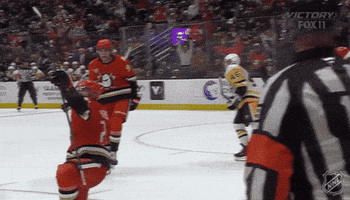 Happy Anaheim Ducks GIF by NHL