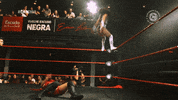 GIF by CNL Chile