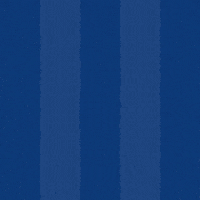 Soccer Goal GIF by Odense Boldklub