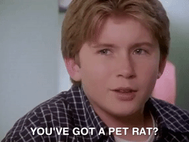 journey of allen strange nicksplat GIF