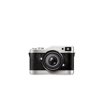 Katefully Sticker by WHY CON VALLEY