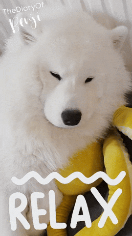 Netflix Chilling GIF