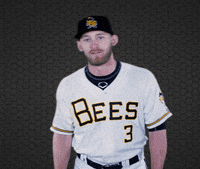 Taylor Ward Baseball GIF by Salt Lake Bees