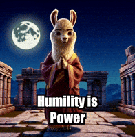 Wisdom Grace GIF by dalaillamazen