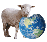 42-BELOW world sheep vodka munch Sticker