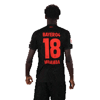 Bayer 04 Football Sticker by Bayer 04 Leverkusen