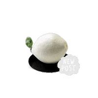 fabesovaiveta lemon czech lime pastry Sticker