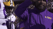 College Football GIF by LSU Tigers