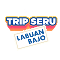 11 11 Trip Sticker by DANA