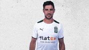 Lars Stindl Bundesliga GIF by Borussia Mönchengladbach