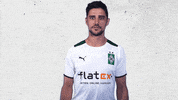 Lars Stindl Bundesliga GIF by Borussia Mönchengladbach