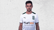 Lars Stindl Bundesliga GIF by Borussia Mönchengladbach