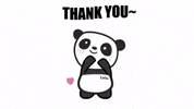 Heart Love GIF by The Cheeky Panda