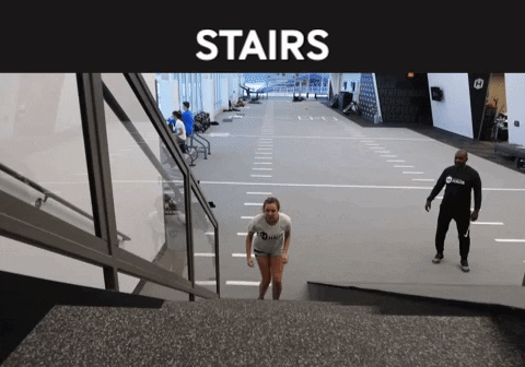 exercise stairs GIF
