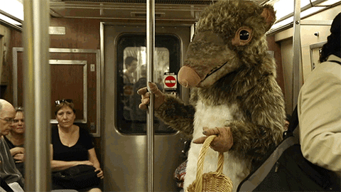 New York City Subway GIF by WNYC
