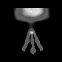 ct looking GIF