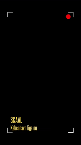 SKAAL_cph skaal GIF