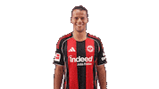 Eintracht Frankfurt Smile Sticker by Bundesliga