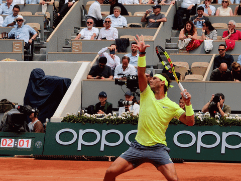 matu giphyupload GIF