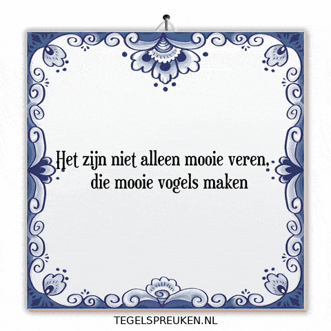 Nl Wijsheid GIF by Tegelspreuken.nl