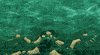 Art Swimming GIF by Lily Padula