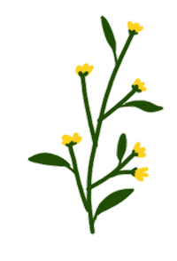 detdeta flower flowers yellowflower detdeta Sticker