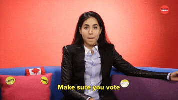Make Sure You Vote