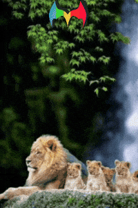 Gracias Por Hacer GIF by Murcianys LLC