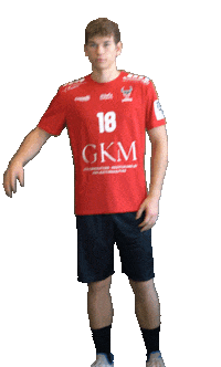 Rhein-Vikings game goal handball vikings Sticker
