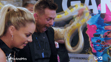 Usa Network Television GIF by Miz & Mrs