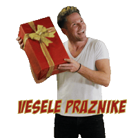 Christmas Sticker by SEBASTIAN