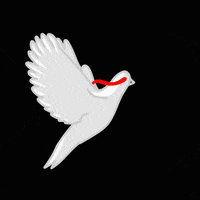 halloween bird GIF by dieselraptor