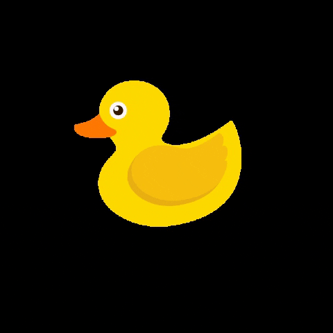 Bathshack giphygifmaker duck bath renovation GIF