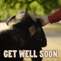 Goat Care GIF by Velkopopovický Kozel