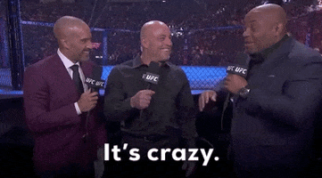 Mixed Martial Arts Sport GIF by UFC