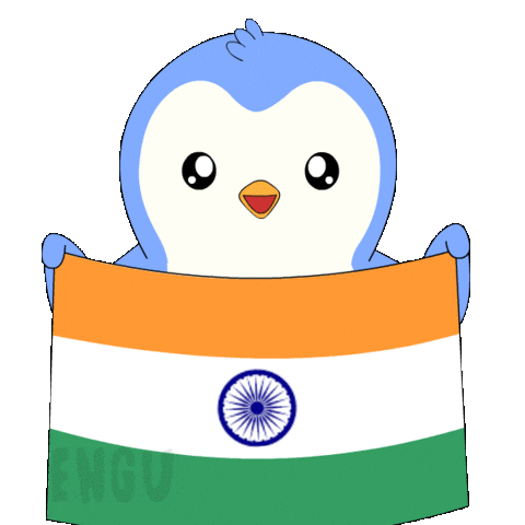 India Flag Penguin Sticker by Pudgy Penguins