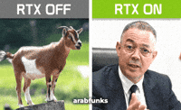 Laugh Morocco GIF