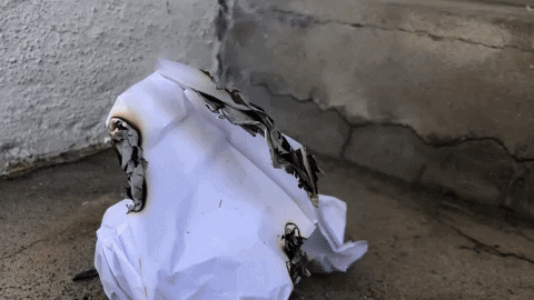 KPCC giphyupload GIF