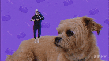Stick Around GIF by Originals