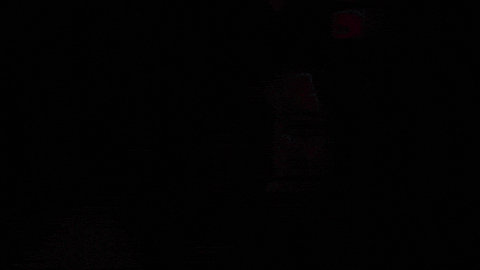 Excited Party GIF