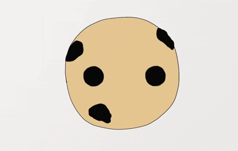 Aisha_Luv giphygifmaker cookie kookies GIF