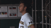 umichathletics clapping michiganbaseball kauffmann GIF