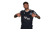 Karlsruher Sc Dancing Sticker by Bundesliga