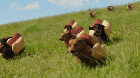 GIF by Heinz Ketchup