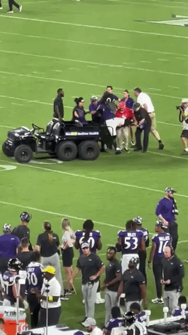 Baltimore Ravens Mascot Injured at Preseason Game